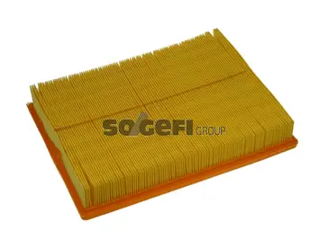 Air Filter (PA7497)