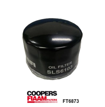 Oil Filter (FT6873)