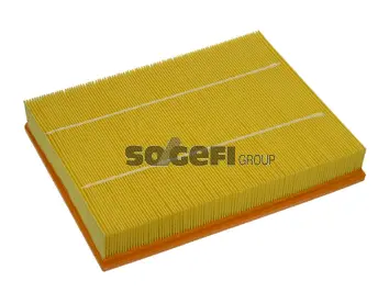 Air Filter (PA7431)