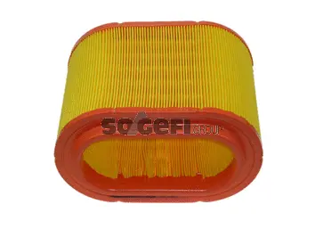 Air Filter (FL9035)