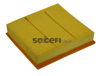 Air Filter (PA7258)