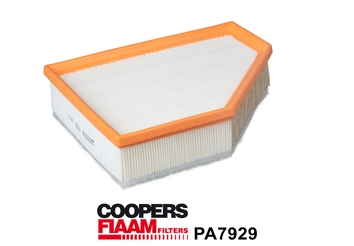 Air Filter (PA7929)