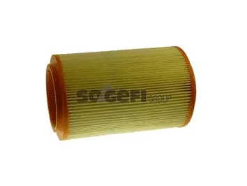 Air Filter (FL9217)