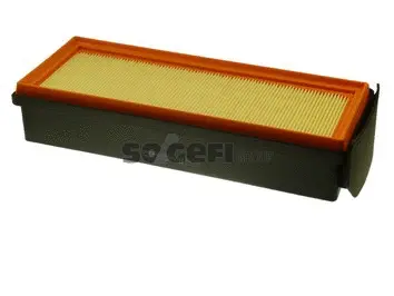 Air Filter (PA7789)