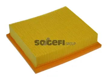 Air Filter (PA7137)
