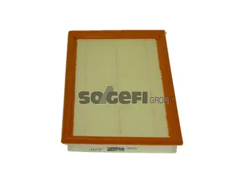 Air Filter (PA7791)
