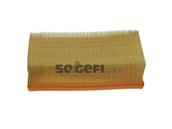 Air Filter (PA7346)