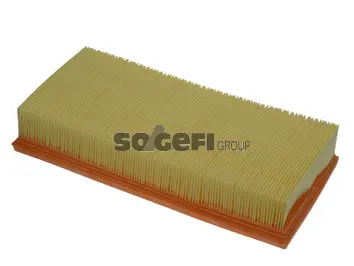 Air Filter (PA7092)