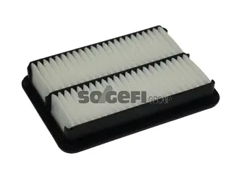 Air Filter (PA7387)