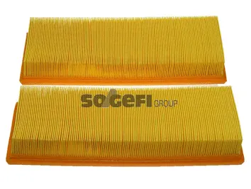 Air Filter (PA7314-2)