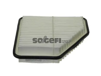 Air Filter (PA7592)