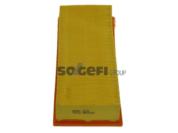 Air Filter (PA7031)