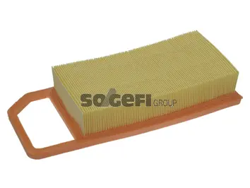 Air Filter (PA7480)