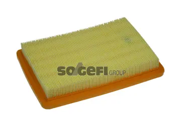 Air Filter (PA7197)