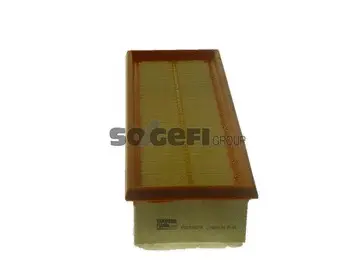 Air Filter (PA7829)
