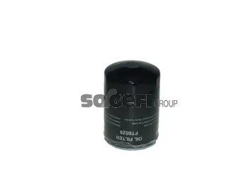 Oil Filter (FT6029)