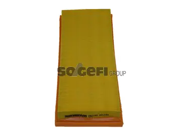 Air Filter (PA7150)