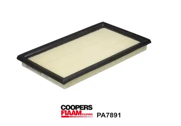 Air Filter (PA7891)