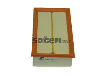 Air Filter (PA7667)