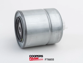 Fuel Filter (FT6855)