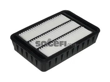 Air Filter (PA7743)