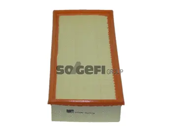 Air Filter (PA7689)