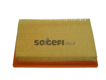 Air Filter (PA7427)