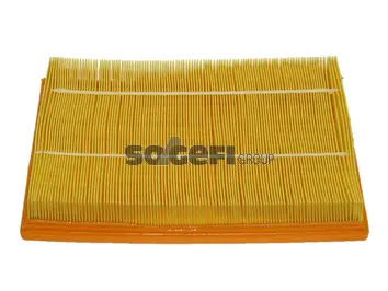 Air Filter (PA7436)
