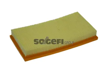 Air Filter (PA7405)