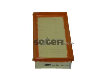 Air Filter (PA7540)