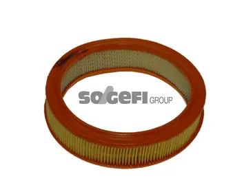 Air Filter (FL6300)