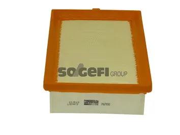 Air Filter (PA7800)