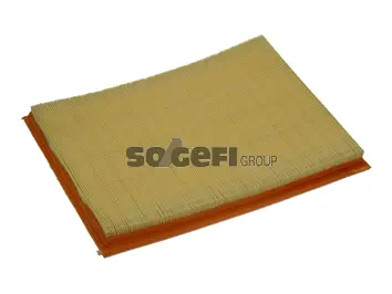 Air Filter (PA7138)
