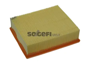 Air Filter (PA7295)
