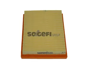 Air Filter (PA7338)