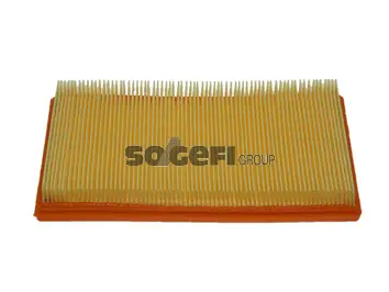 Air Filter (PA7463)