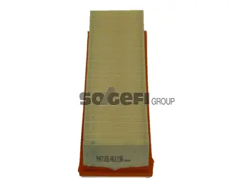 Air Filter (PA7165)