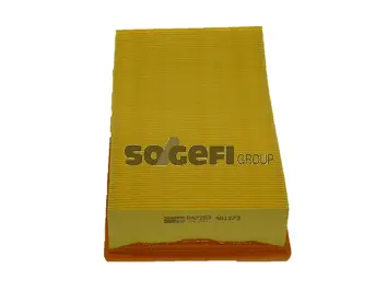 Air Filter (PA7253)
