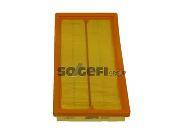 Air Filter (PA7545)