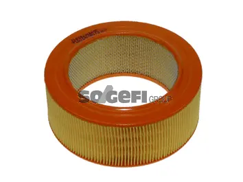 Air Filter (FL6124)