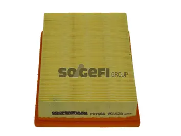 Air Filter (PA7566)