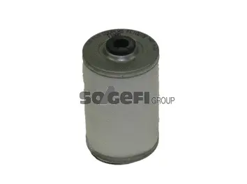 Fuel Filter (FC1027B)