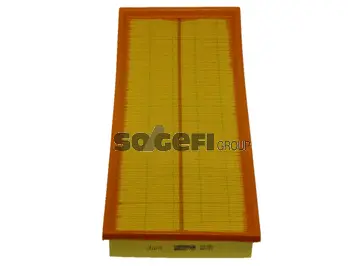 Air Filter (PA7189)