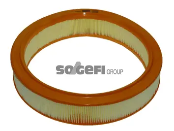 Air Filter (FL6917)