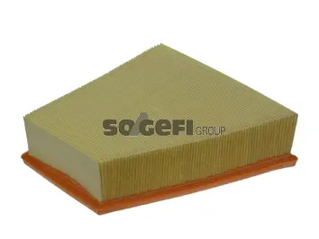 Air Filter (PA7384)