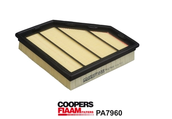Air Filter (PA7960)