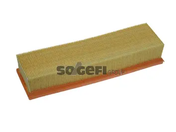 Air Filter (PA7359)