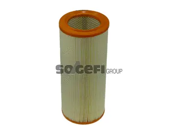 Air Filter (FL6951)