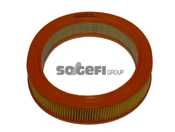 Air Filter (FL6629)