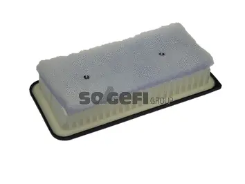 Air Filter (PA7531)